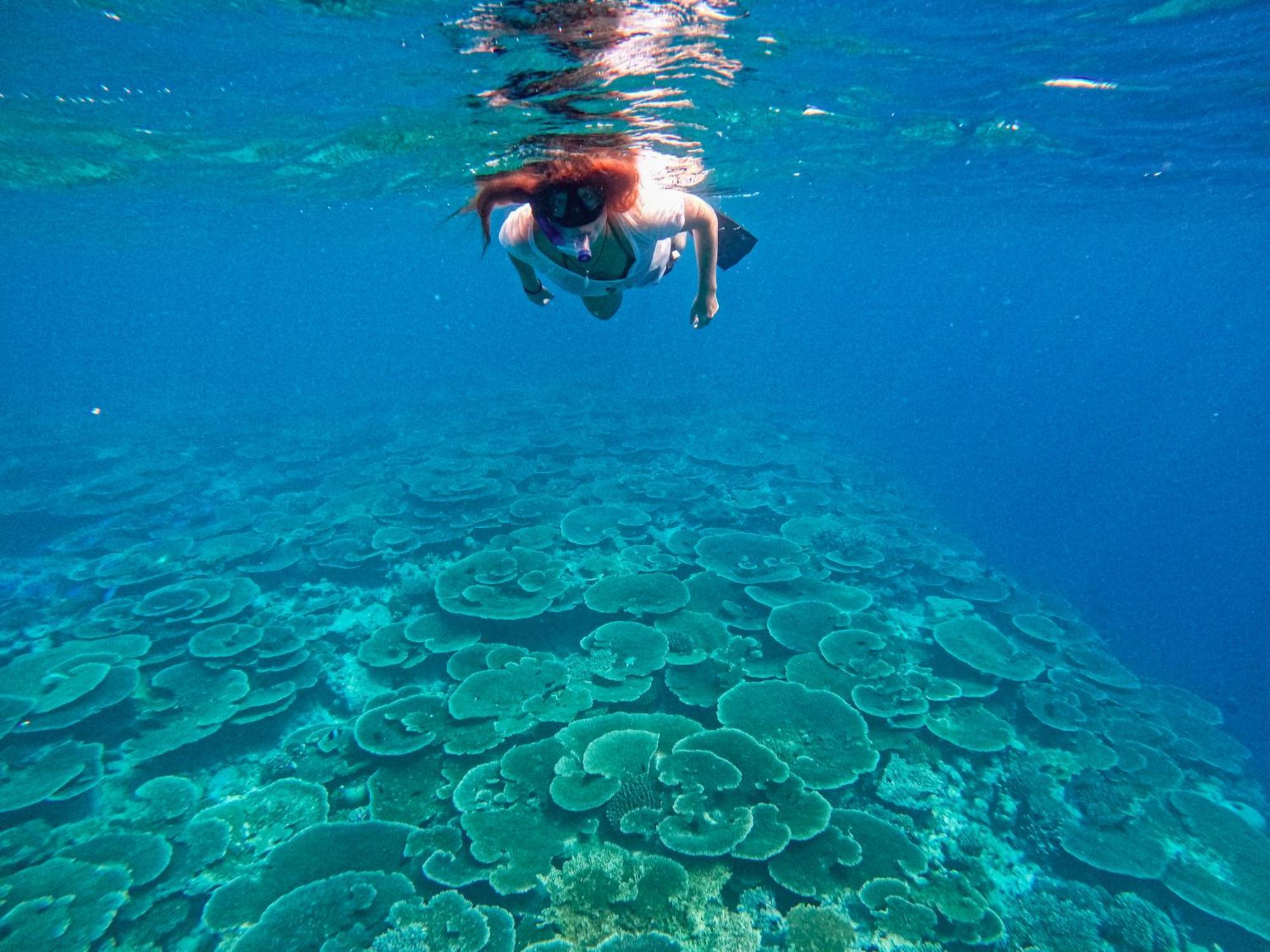 Manta Sea View Himandhoo Hotell Exteriör bild
