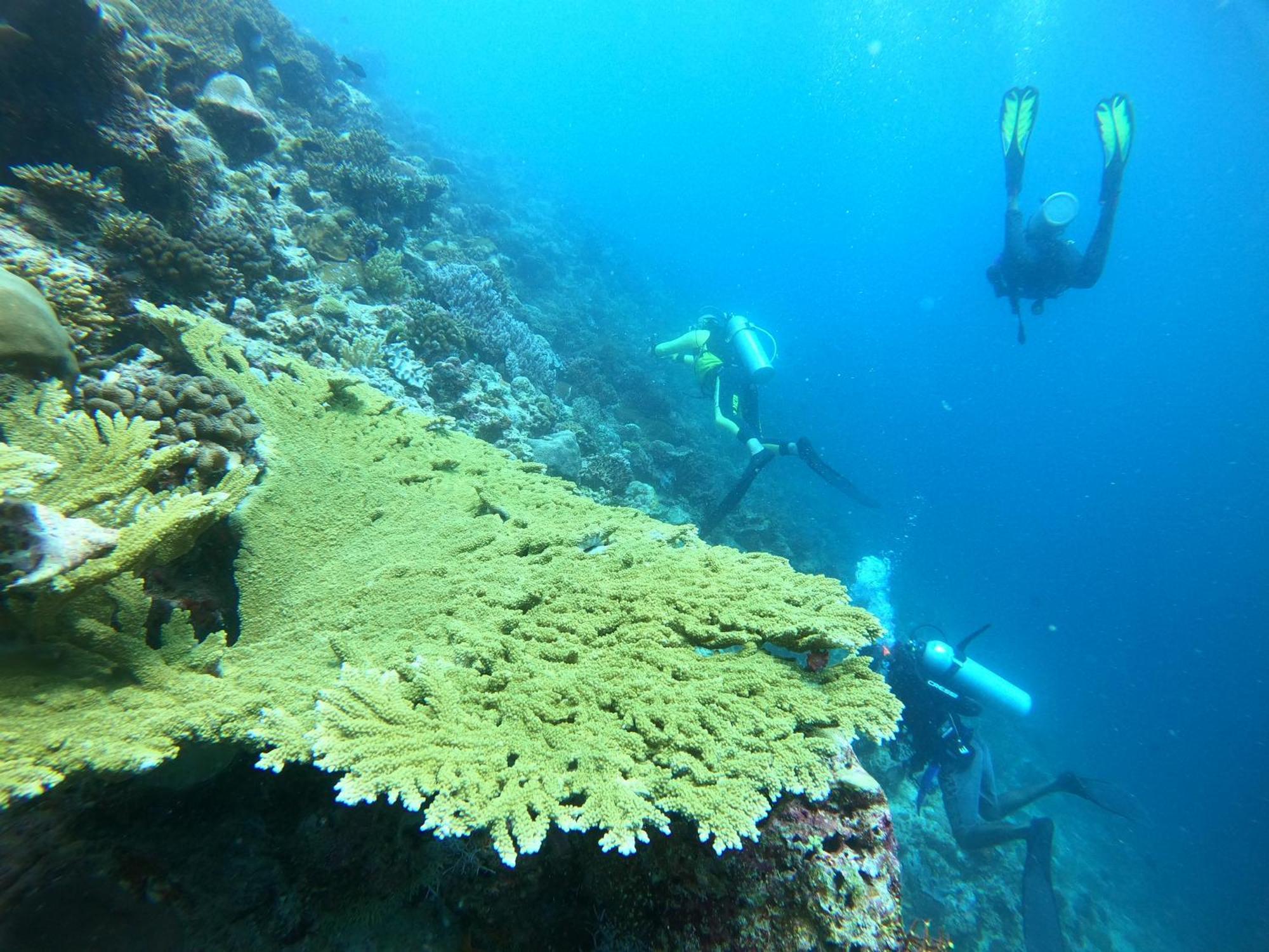 Manta Sea View Himandhoo Hotell Exteriör bild